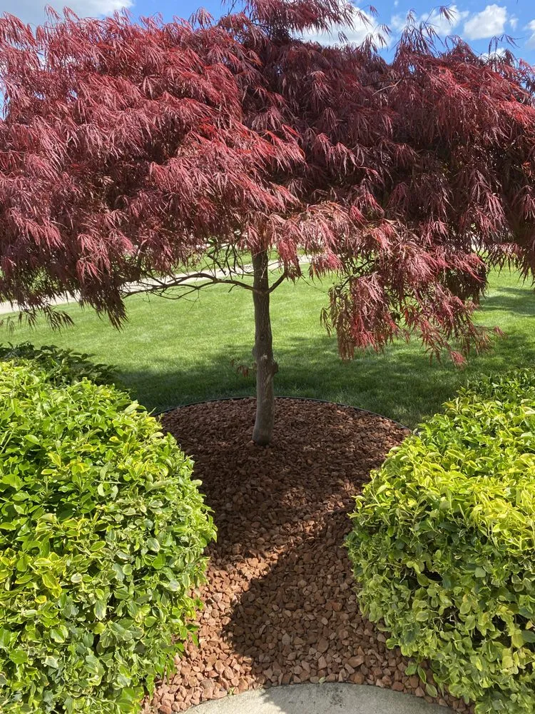 Affordable landscape design with custom design across Macomb, MI - Next Level Landscaping