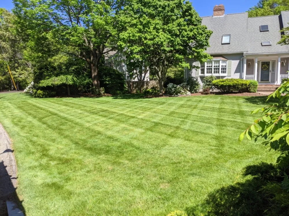 Custom yard maintenance in North Attleborough, MA - Next Level Landscaping