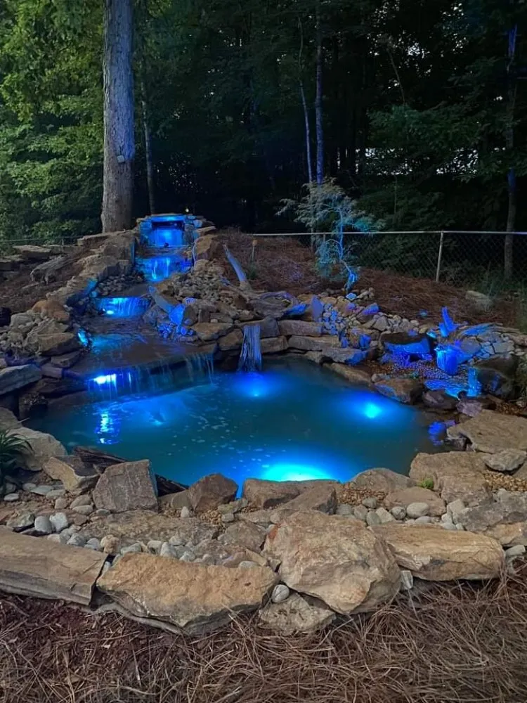 Professional outdoor landscaping in Toney, AL by Next Level Landscaping