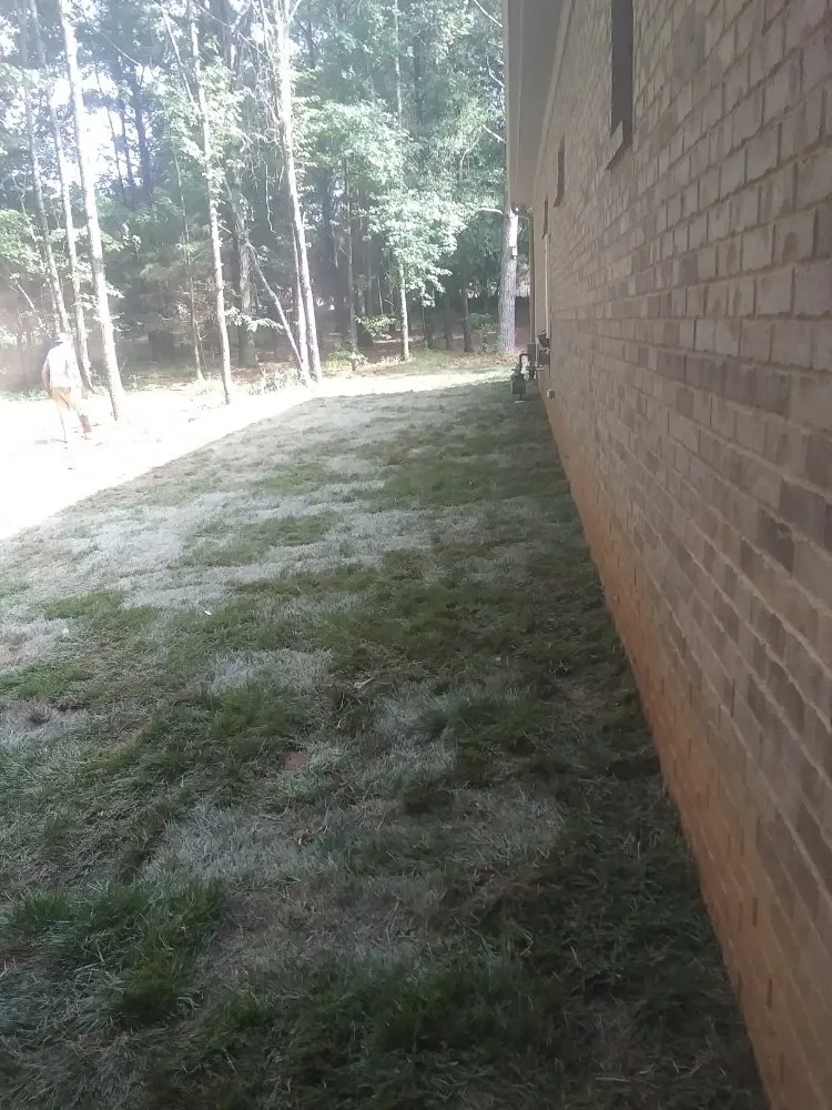 Expert landscape design experts serving Toney, AL - Next Level Landscaping