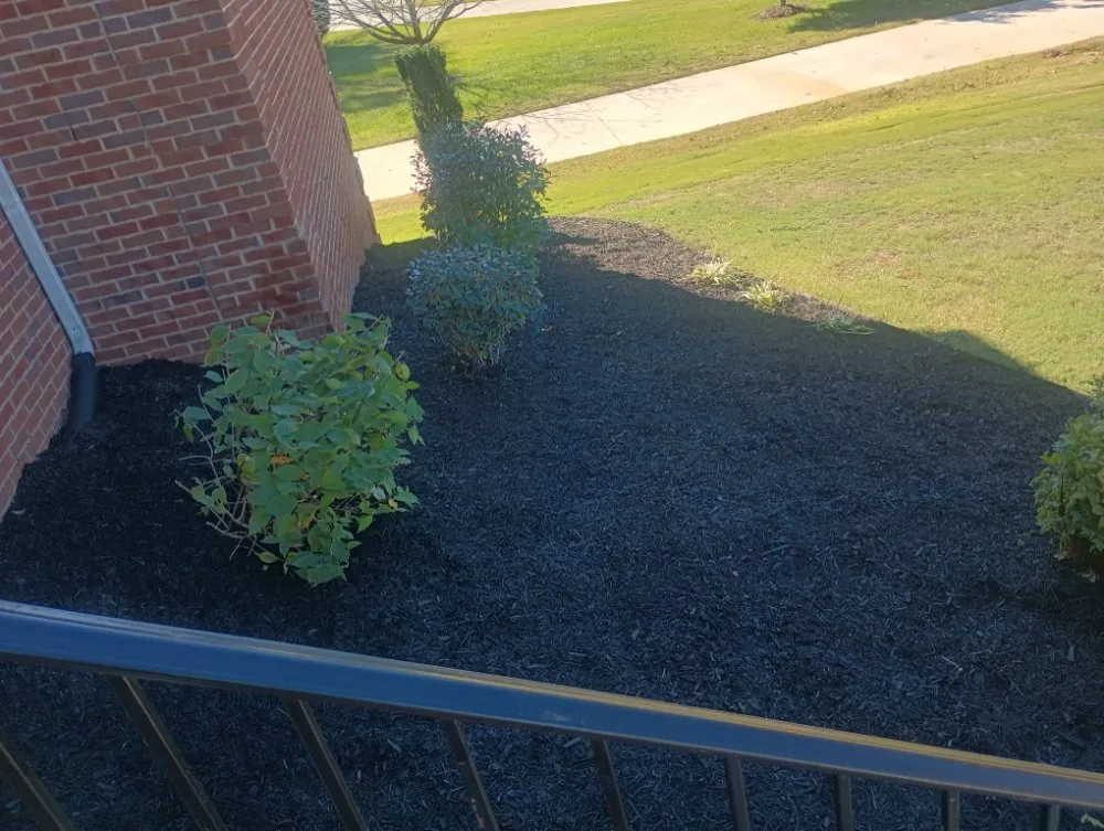 Trusted residential landscaping with custom design in Toney, AL by Next Level Landscaping