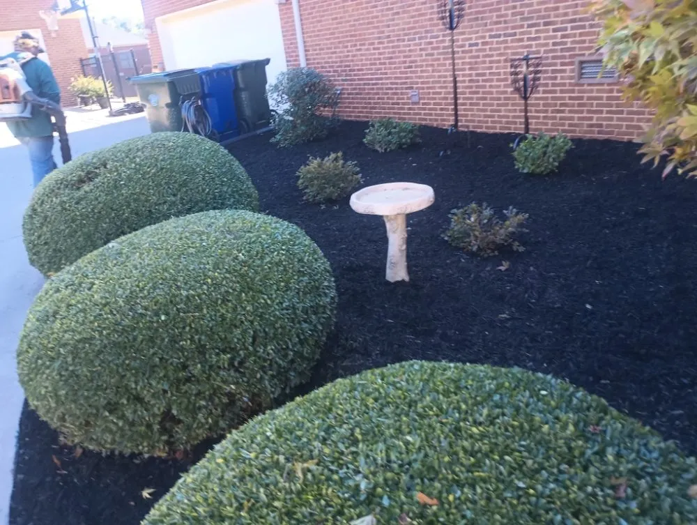 Custom landscape installation experts serving Toney, AL - Next Level Landscaping