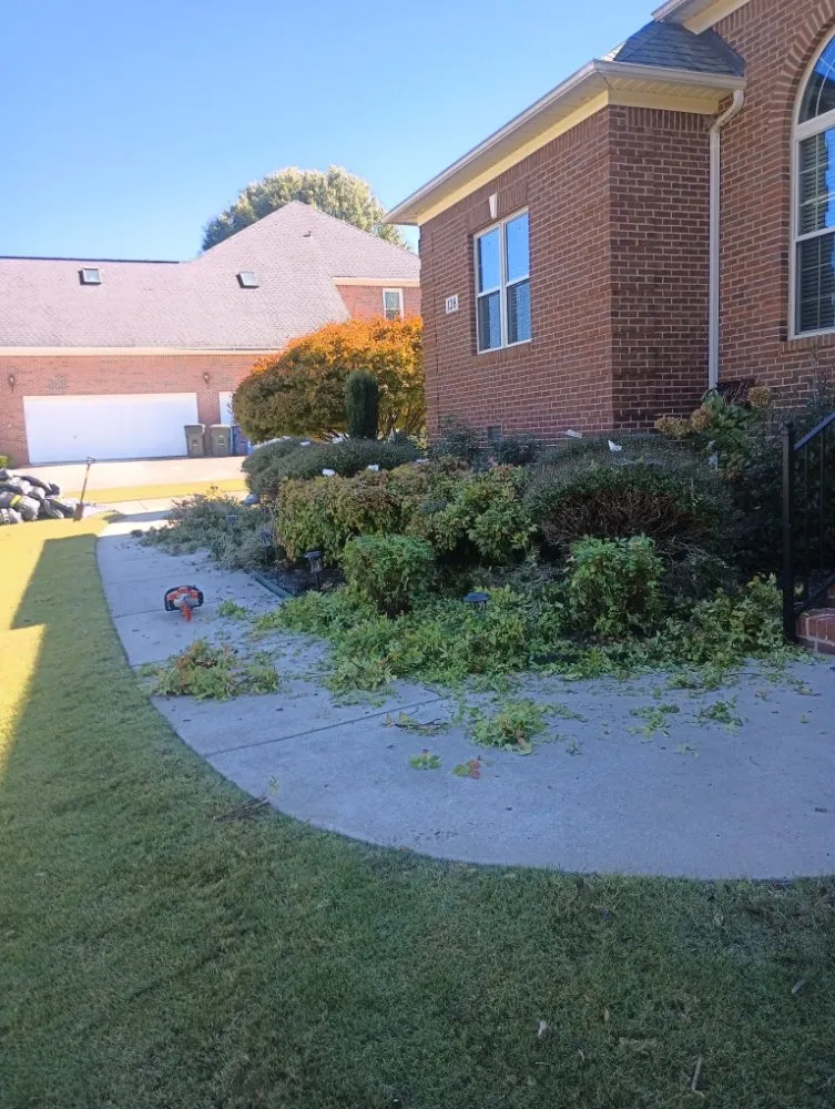 Affordable garden landscaping for year-round maintenance across Toney, AL - Next Level Landscaping