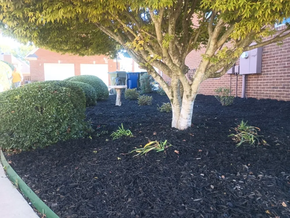 Top-rated outdoor landscaping in Toney, AL - Next Level Landscaping