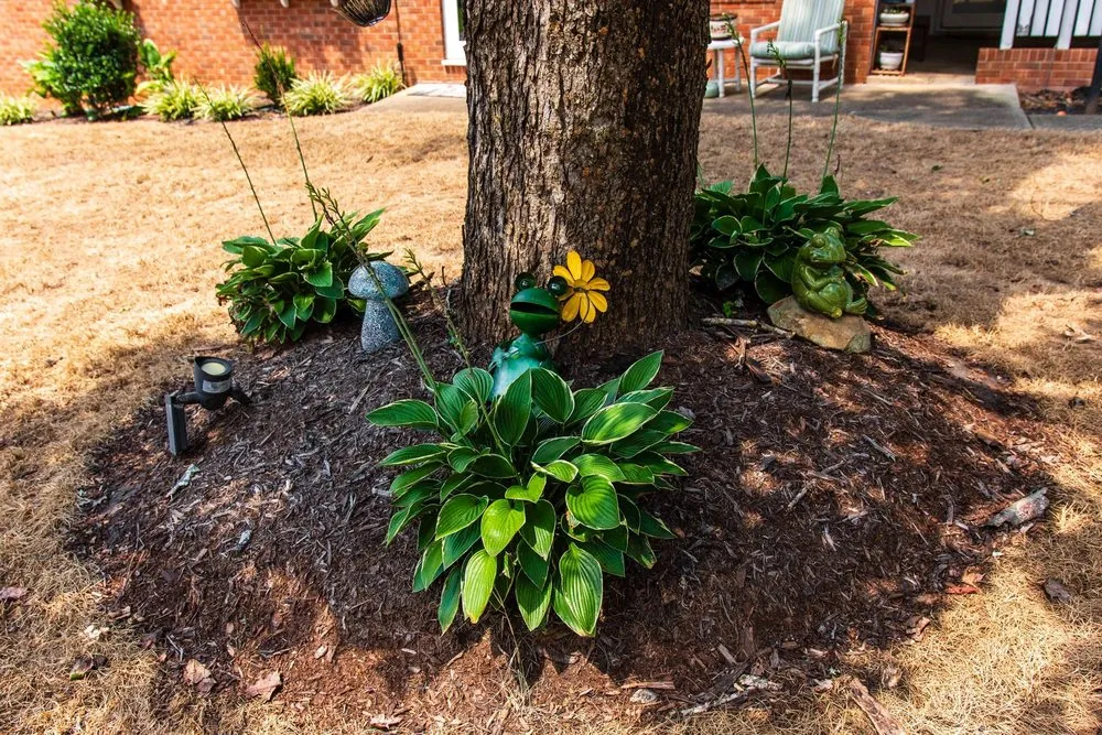 Trusted lawn care service in Denton, NC by Next Level Lawn and Hardscape