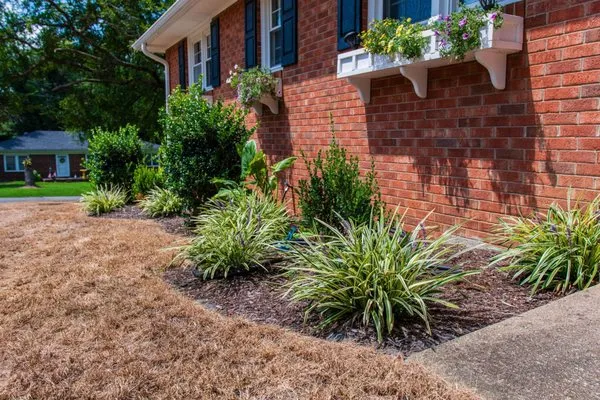 Next Level Lawn and Hardscape