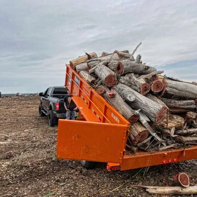 Next level lawn and landscape Logo