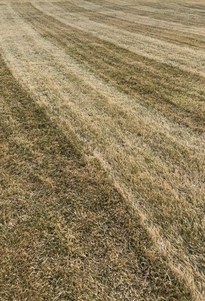 Custom garden landscaping with custom design in Fargo, ND by Next Level Lawn and Snow