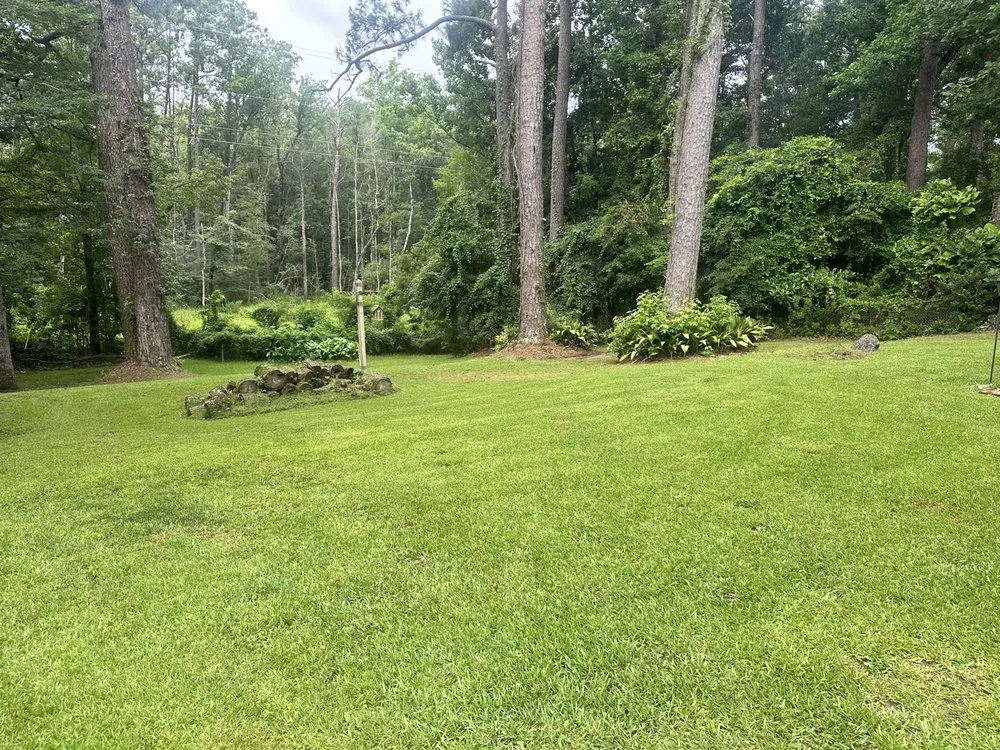Local landscape design in Spanish Fort, AL by Next Level Lawn Care