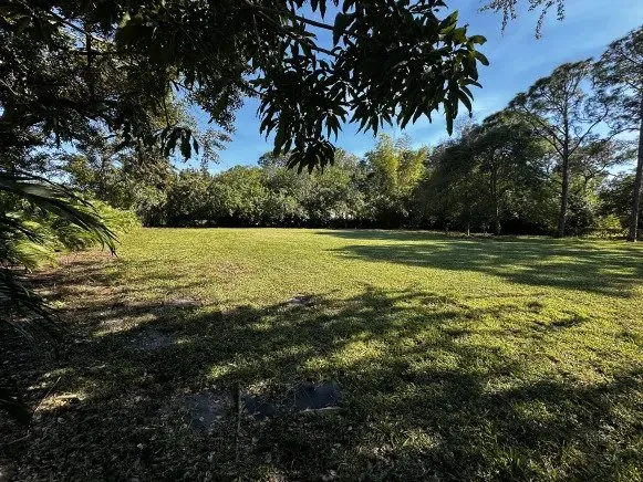 Local lawn care service for year-round maintenance in West Palm Beach, FL by Next Level Lawn Care