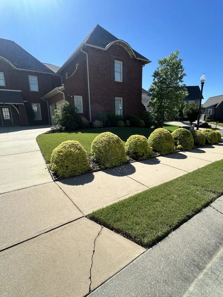 Top-rated landscape design in Birmingham, AL by Next Level Lawn service