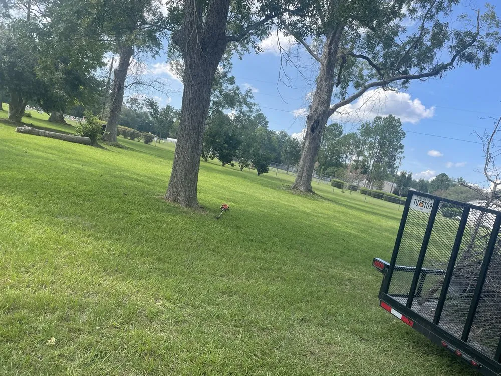 Custom residential landscaping experts serving Blackshear, GA - Next Level Lawns