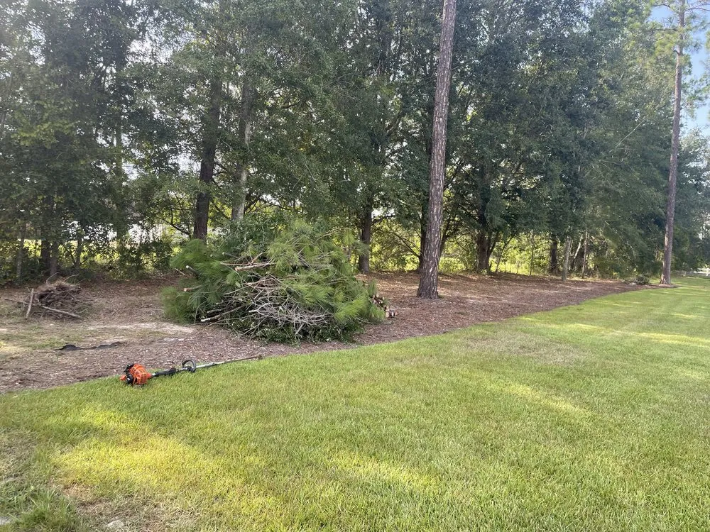 Top-rated residential landscaping experts serving Blackshear, GA - Next Level Lawns