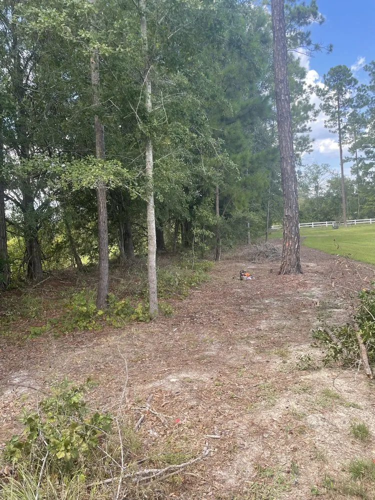 Professional landscape design experts serving Blackshear, GA - Next Level Lawns