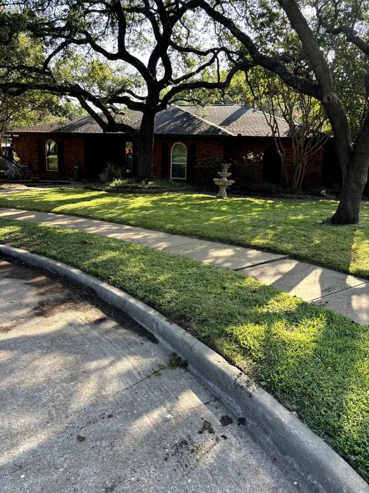 Affordable yard cleanup service experts serving Plano, TX - Next Level Mowing