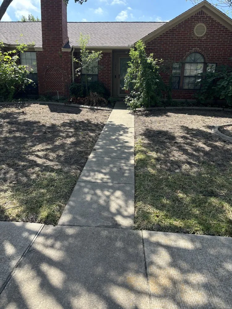 Local yard cleanup service in Plano, TX - Next Level Mowing