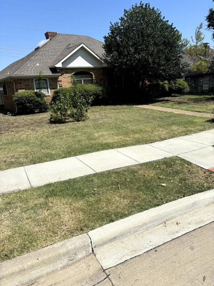 Reliable outdoor landscaping near you across Plano, TX - Next Level Mowing