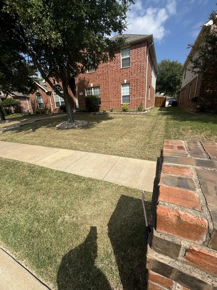 Trusted lawn care service with custom design in Plano, TX by Next Level Mowing