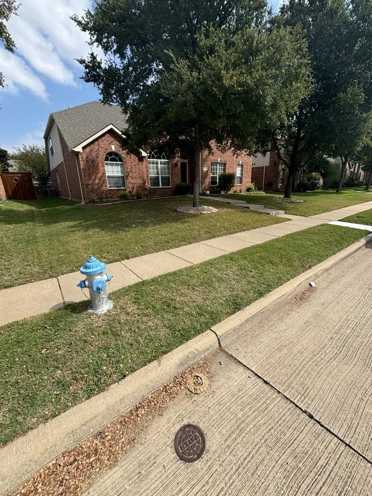 Top-rated lawn mowing service for homes across Plano, TX - Next Level Mowing