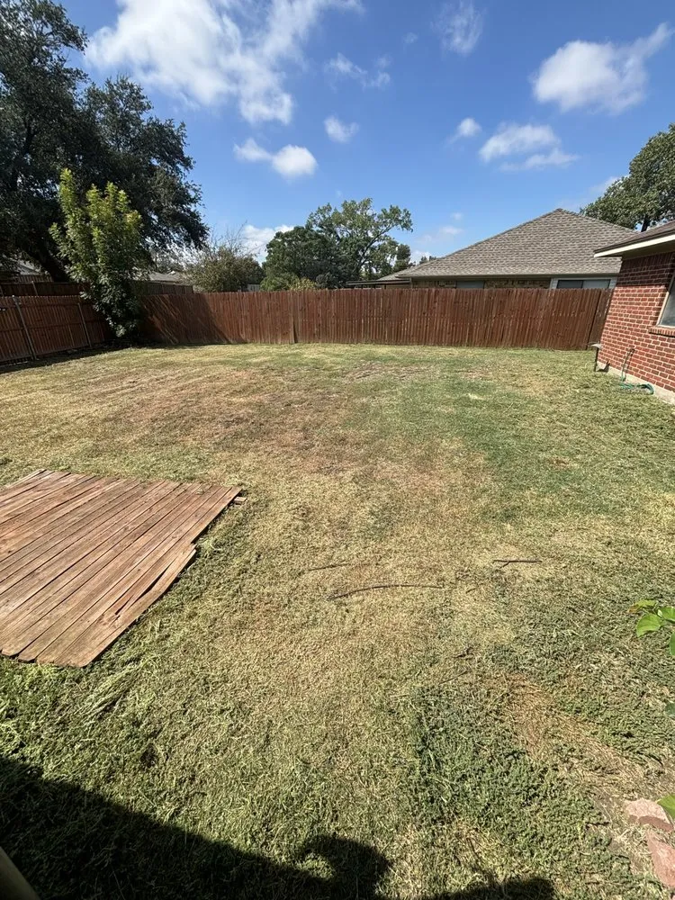 Reliable yard cleanup service for year-round maintenance across Plano, TX - Next Level Mowing