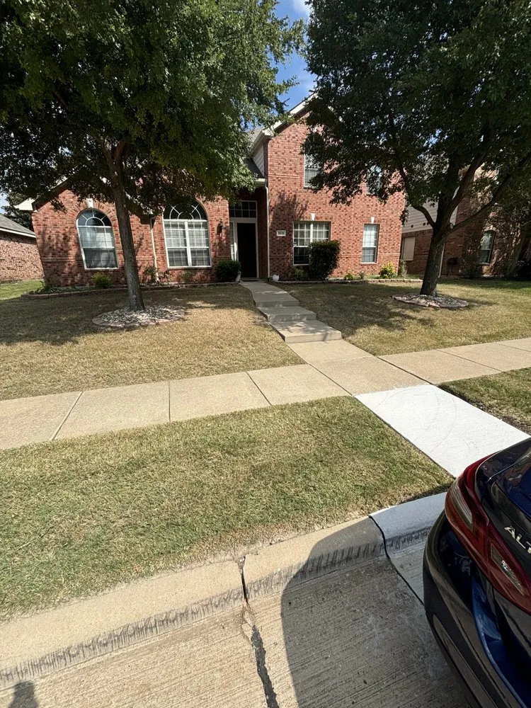 Top-rated landscape installation in Plano, TX by Next Level Mowing