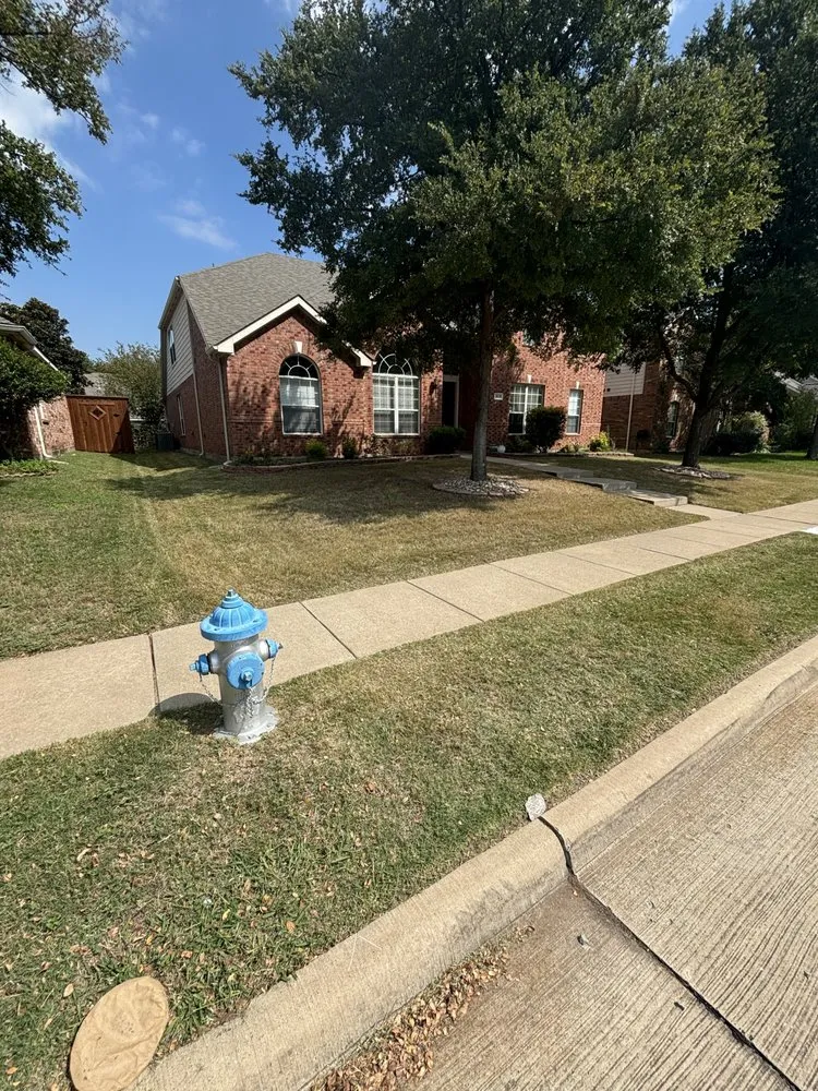 Local lawn mowing service in Plano, TX by Next Level Mowing
