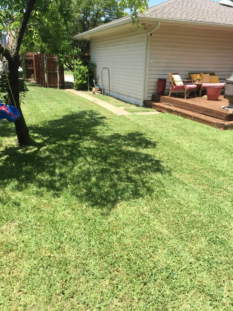 Professional landscaping services with custom design across Plano, TX - Next Level Mowing