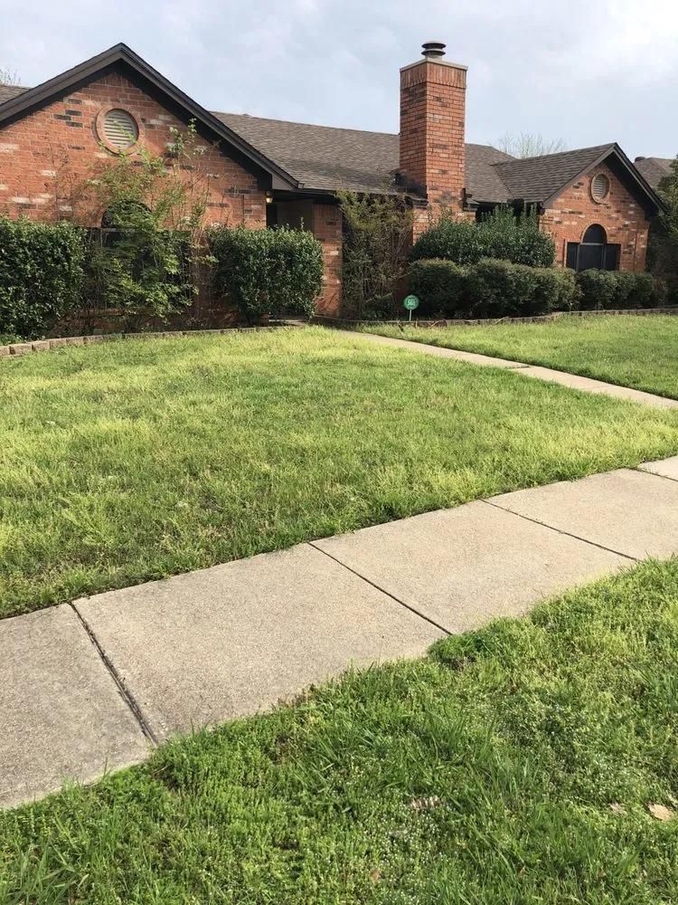 Reliable lawn care service for outdoor upgrades in Plano, TX by Next Level Mowing