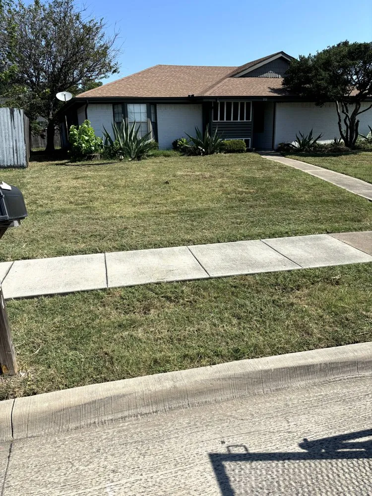 Top-rated garden landscaping in Plano, TX - Next Level Mowing