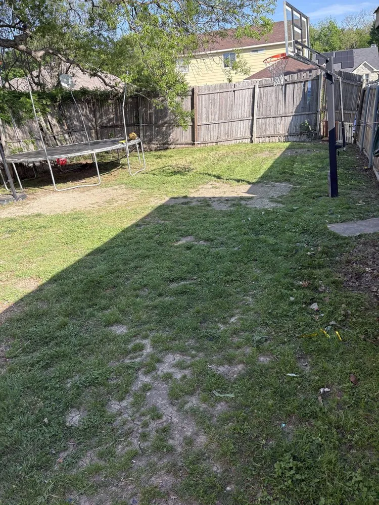 Custom yard cleanup service experts serving Plano, TX - Next Level Mowing