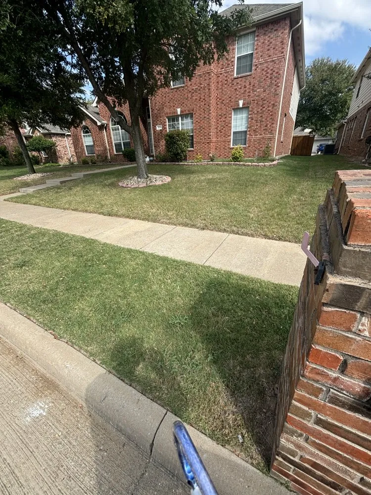 Expert residential landscaping in Plano, TX - Next Level Mowing