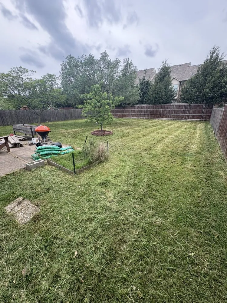 Affordable landscape installation in Plano, TX by Next Level Mowing