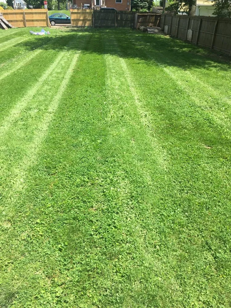 Affordable yard cleanup service for homes in Brazil, IN by Next Level Outdoor