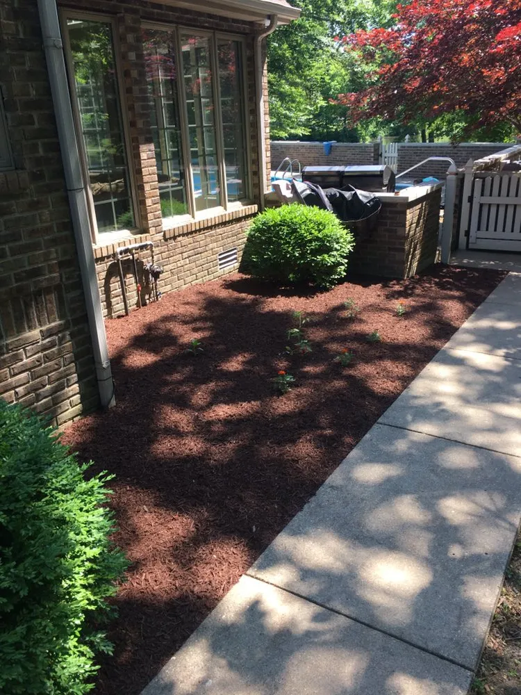 Expert yard maintenance in Brazil, IN - Next Level Outdoor