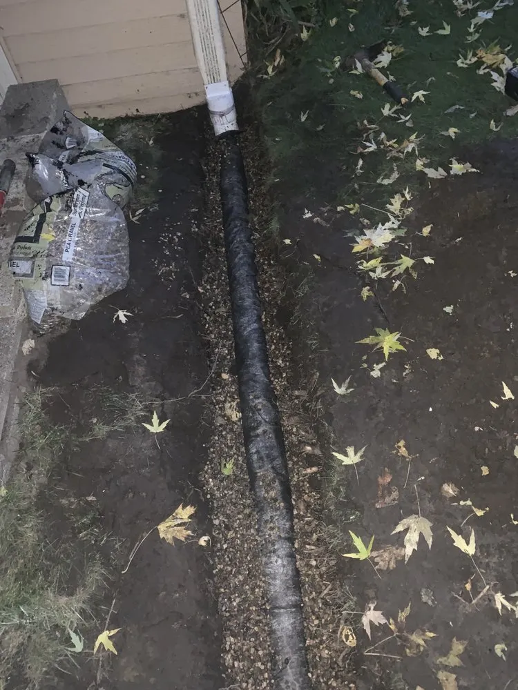 Top-rated landscaping services for outdoor upgrades across Inver Grove Heights, MN - Next Level Outdoor Services And Snow Removal