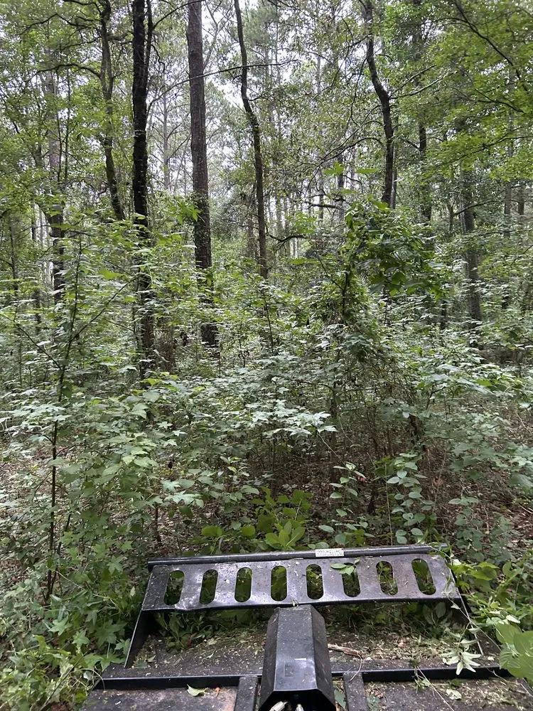 Affordable outdoor landscaping in Thomasville, GA - Next Level Outdoor Services