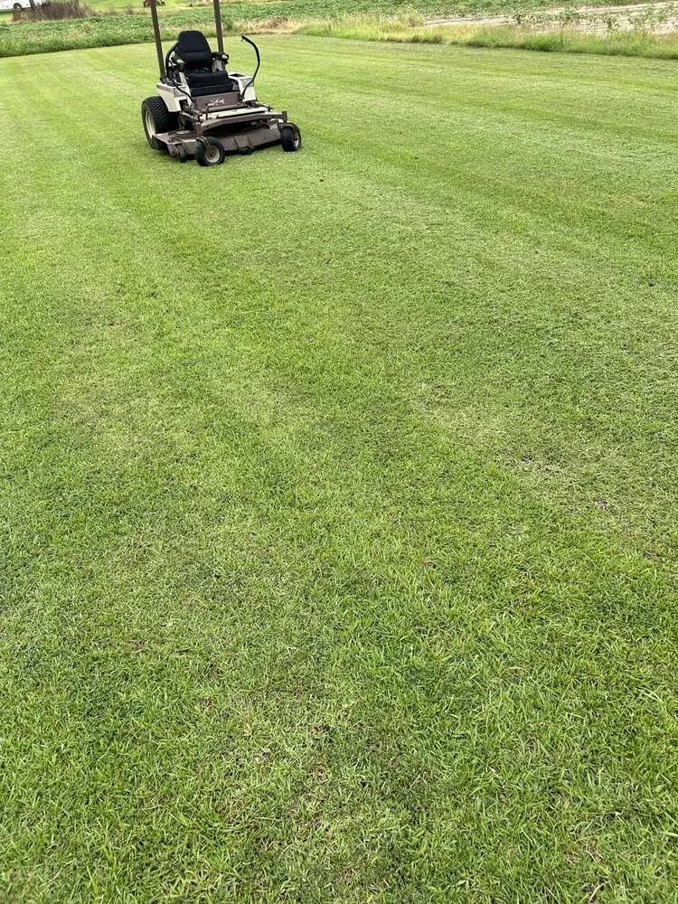 Professional landscaping services in Thomasville, GA by Next Level Outdoor Services