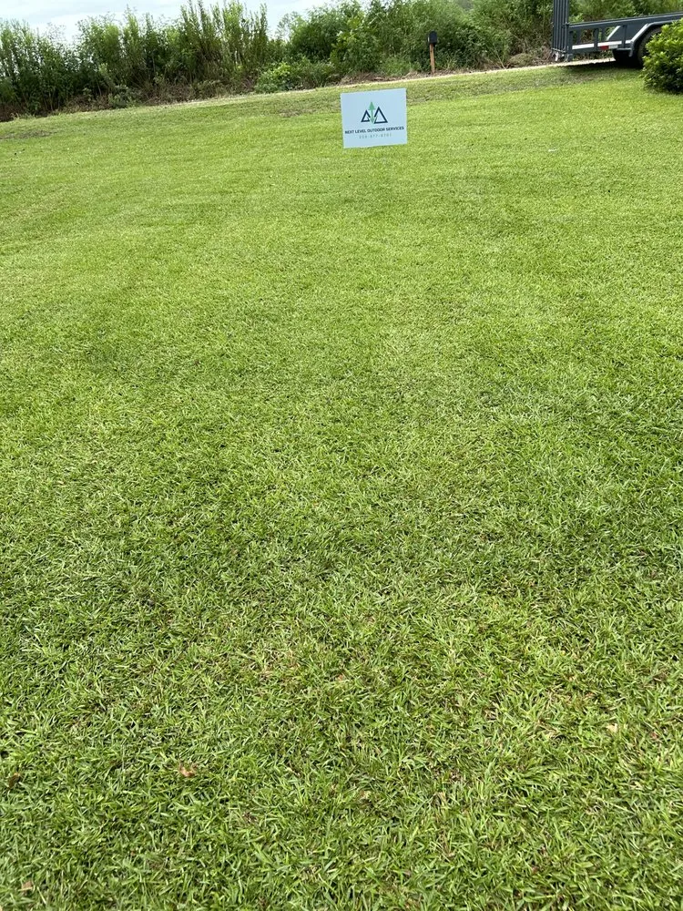 Professional landscaping services for beautiful yards in Thomasville, GA by Next Level Outdoor Services