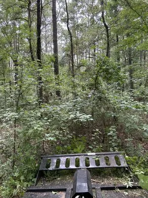 Next Level Outdoor Services