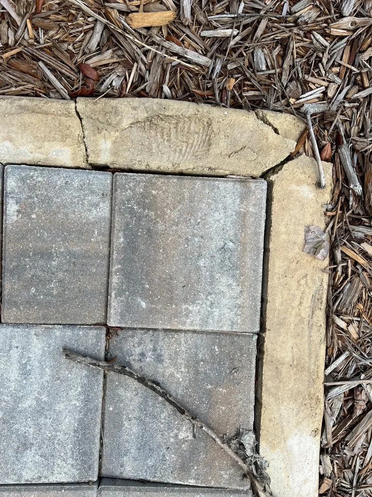 Local landscape design in Cape Coral, FL by Next Level Pavers