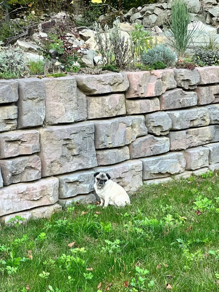 Professional yard maintenance experts serving Hohenwald, TN - Next Level Property Solutions