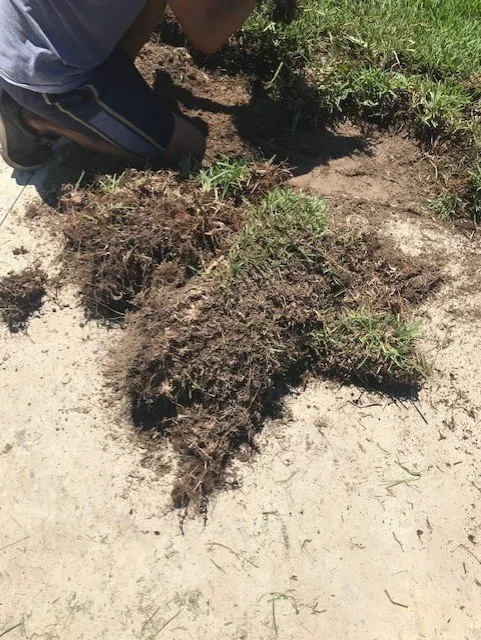 Reliable outdoor landscaping in Seffner, FL by Next Level Turf Management