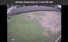 Local lawn care service experts serving Seffner, FL - Next Level Turf Management