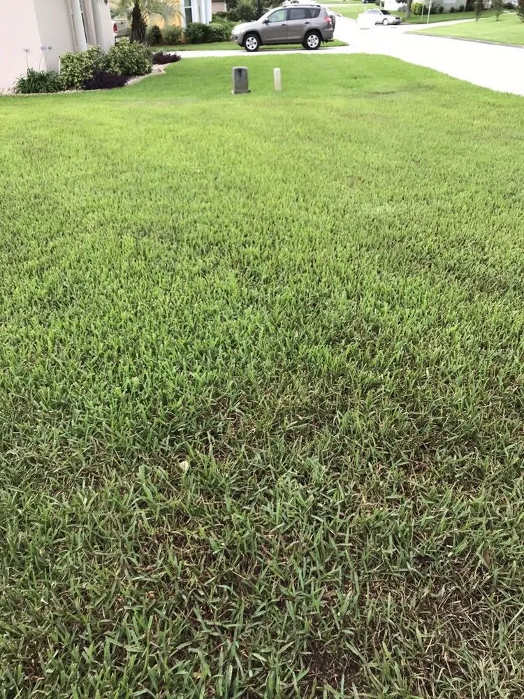 Custom outdoor landscaping for beautiful yards in Seffner, FL by Next Level Turf Management