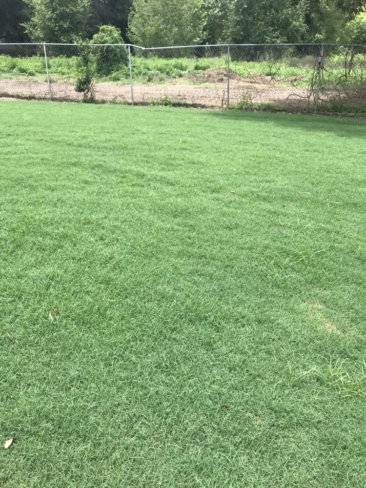 Local outdoor landscaping for outdoor upgrades across Seffner, FL - Next Level Turf Management