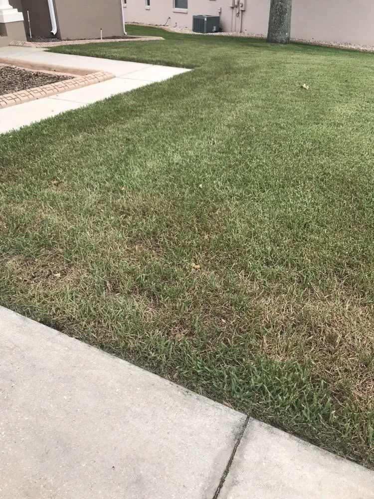 Expert landscape design with custom design in Seffner, FL by Next Level Turf Management