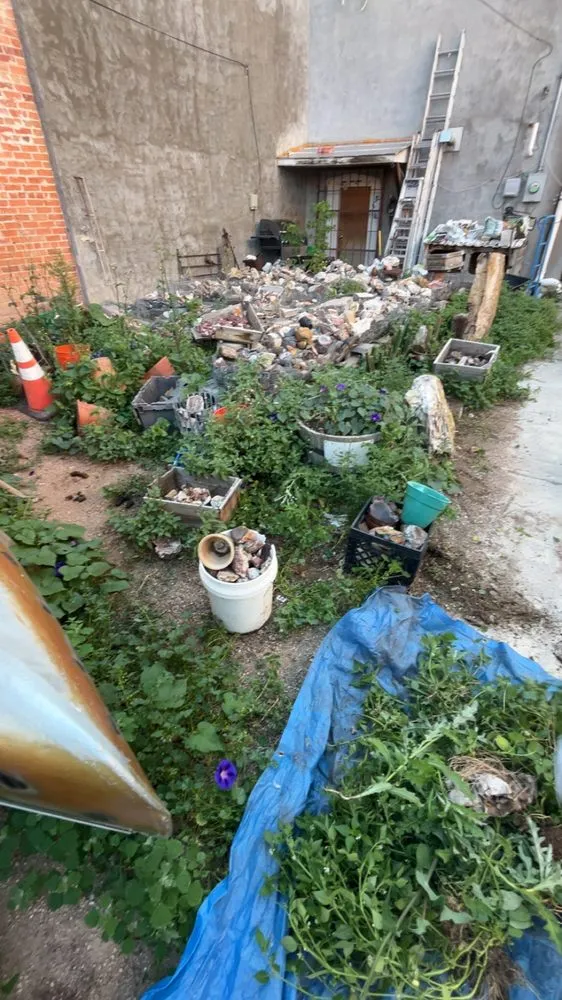 Professional lawn care service near you across Cheyenne, WY - Next Phase