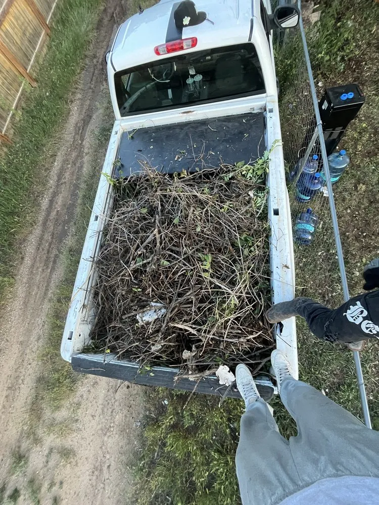 Trusted yard maintenance experts serving Cheyenne, WY - Next Phase