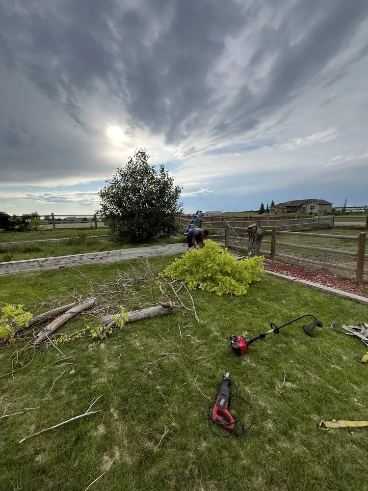 Top-rated residential landscaping in Cheyenne, WY - Next Phase