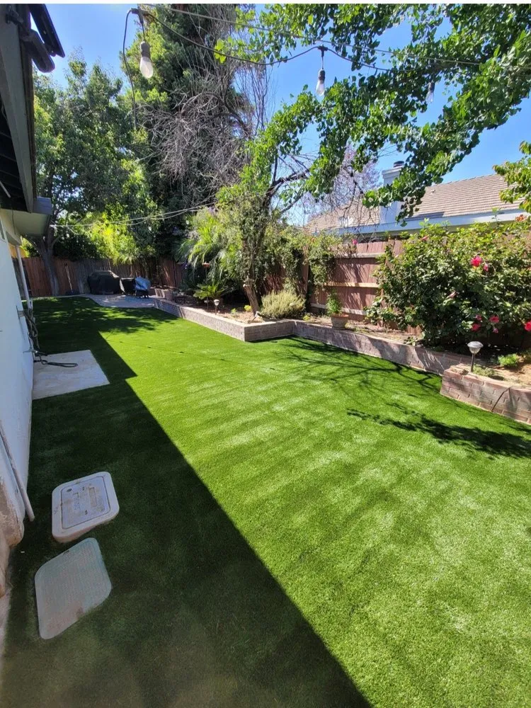 Professional yard maintenance in Bakersfield, CA by Next Phase Landscape